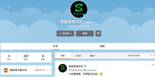 小米戰略投資黑鯊游戲手機 游戲手機市場的新篇章與信息系統集成服務的前景